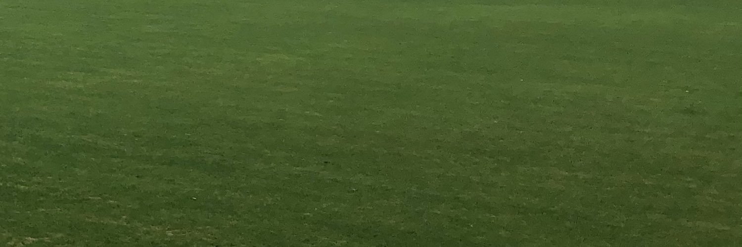 † (◉▽◉) † banner