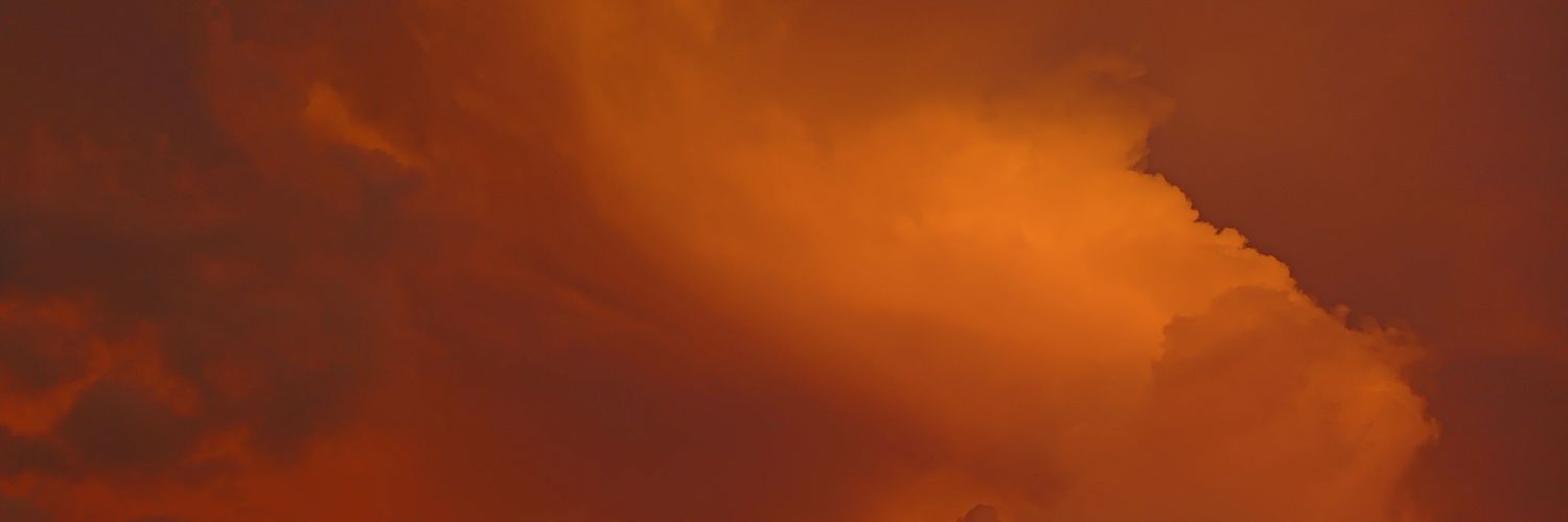 ACES114's profile banner image