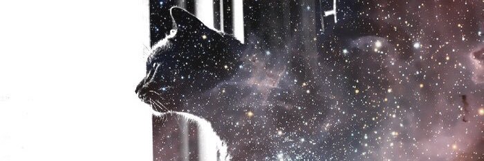 onimaro's profile banner image