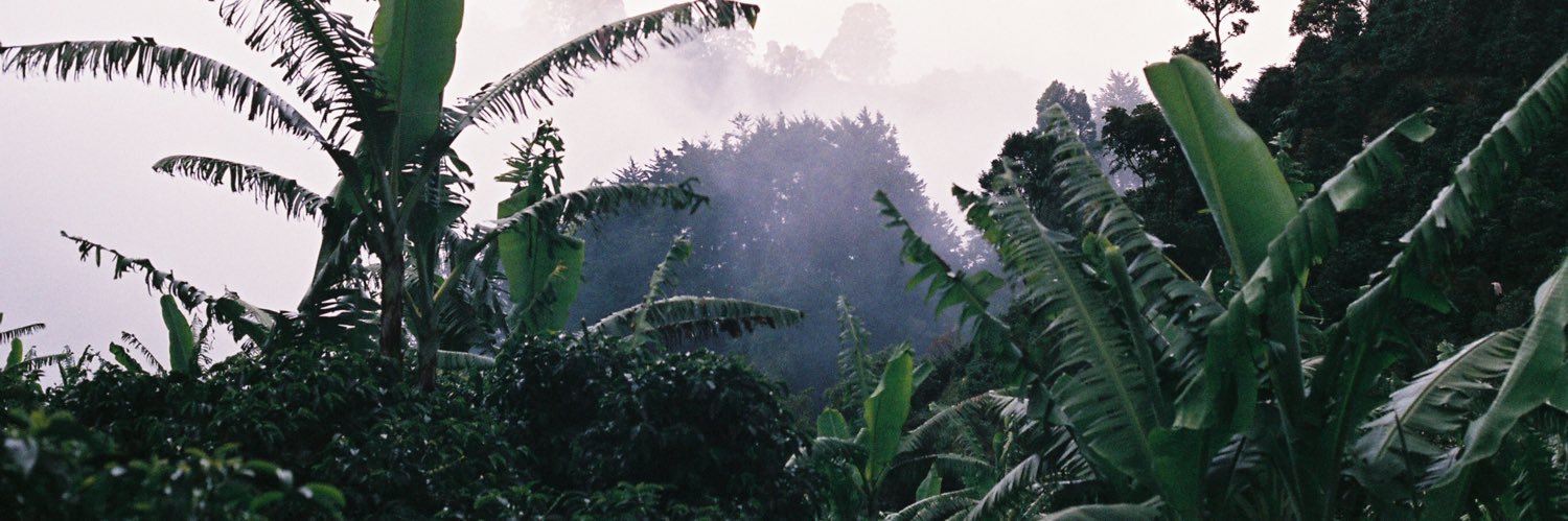 Life_of_bones's profile banner image