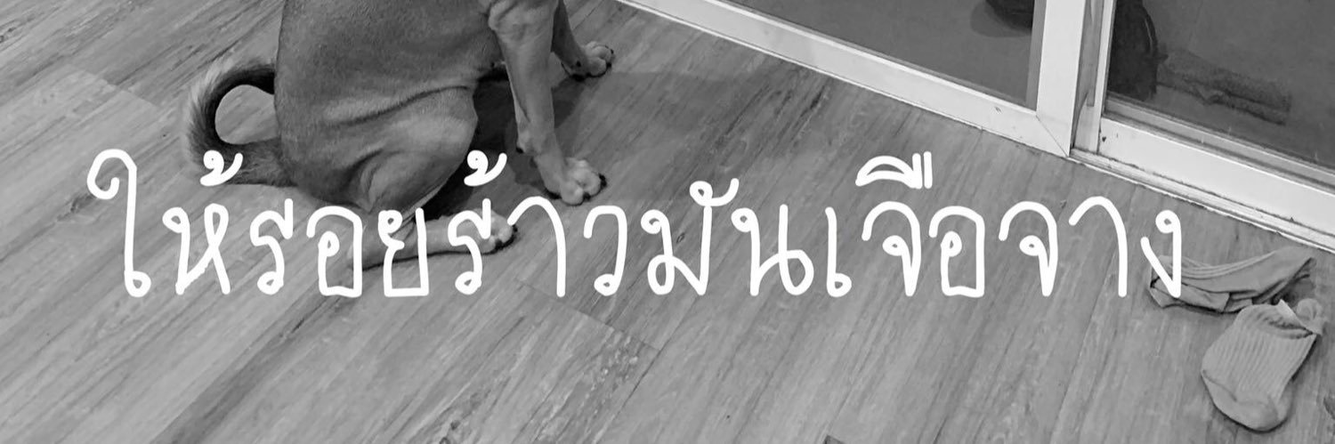 My Dream it real banner