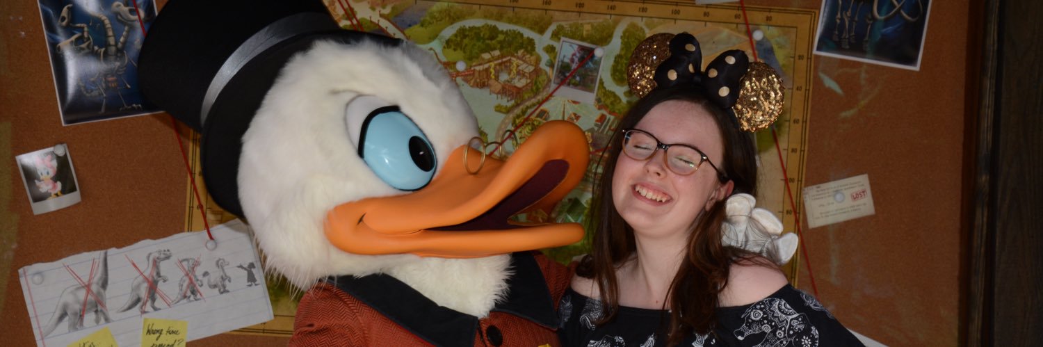 SassFairy's profile banner image