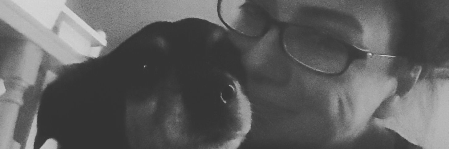 evrimsandal's profile banner image