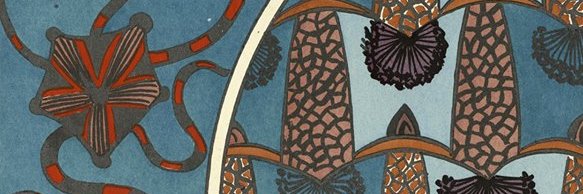 MirwaneH's profile banner image