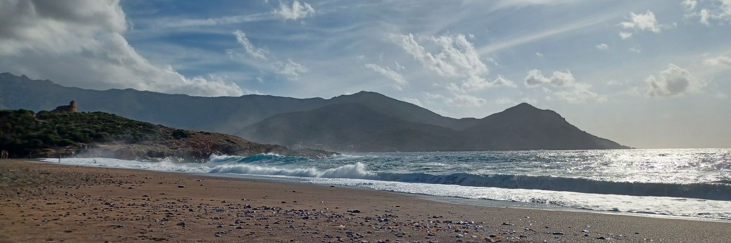 Cyber | Nicolas banner