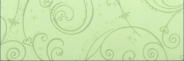 dsViegas's profile banner image
