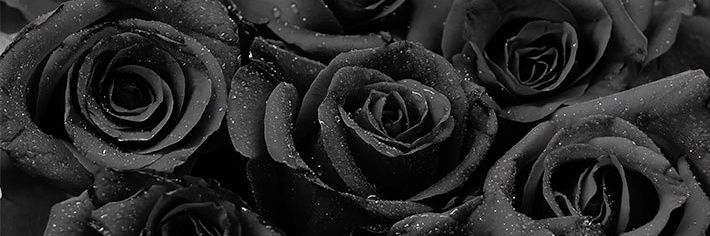 ELIE0307's profile banner image