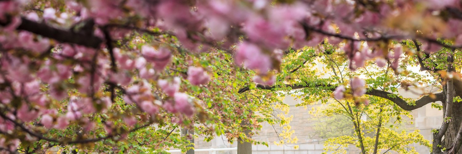 JennBAlton's profile banner image