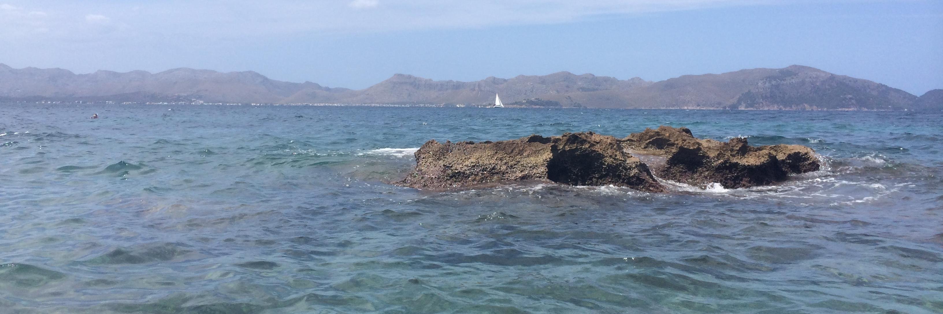 Roberth DurMc banner