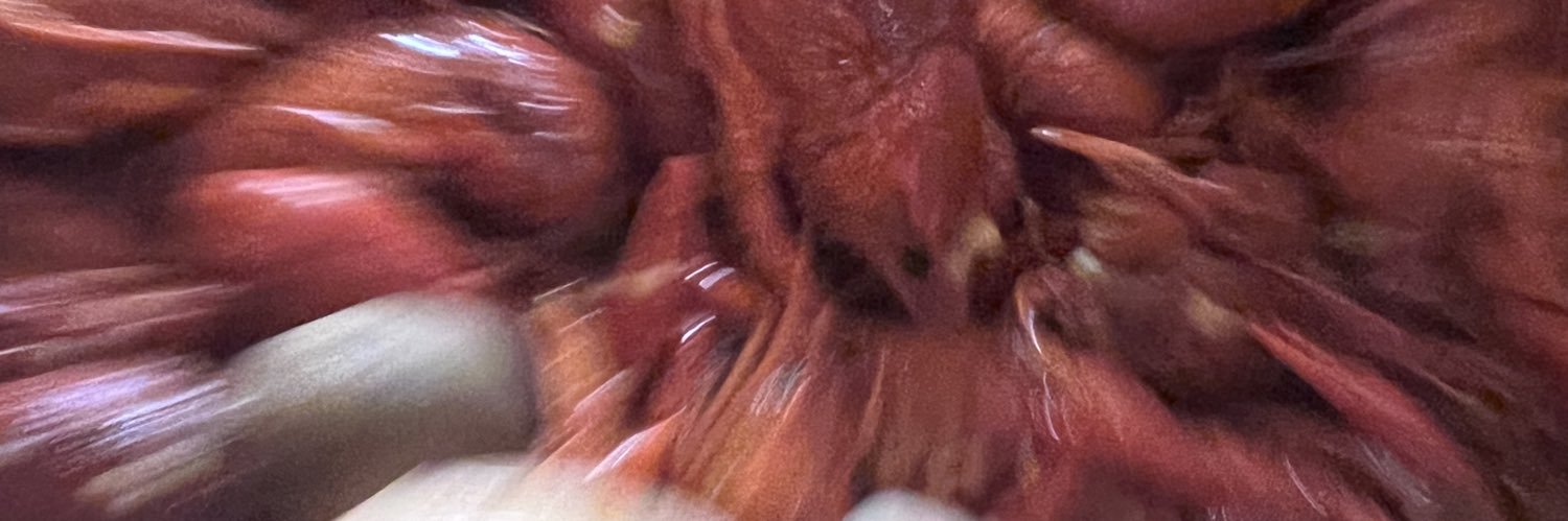 rratmilkk's profile banner image