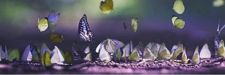 juv10196's profile banner image