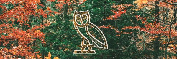 thibaudjl Profile Banner