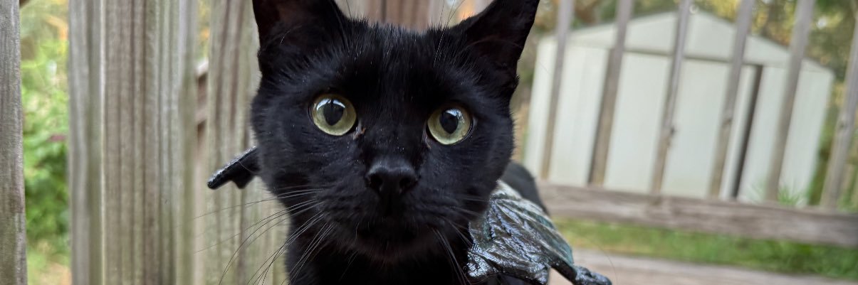 RWinterR's profile banner image