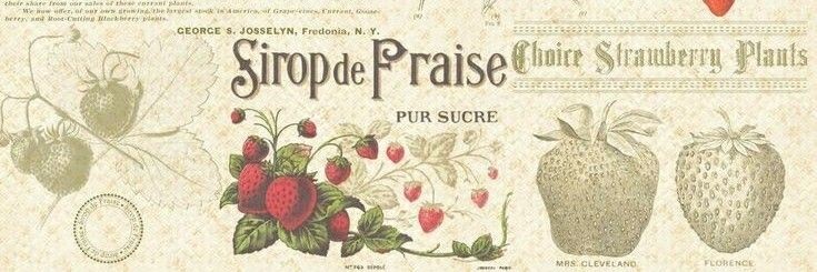 песок любит котопомидорку | ушли. banner