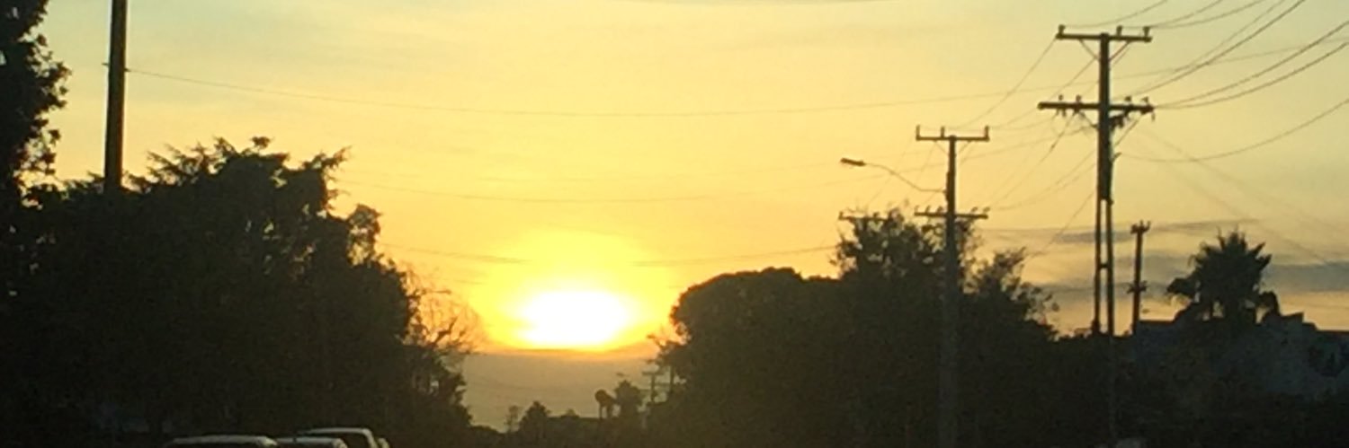 Anna Taylor banner