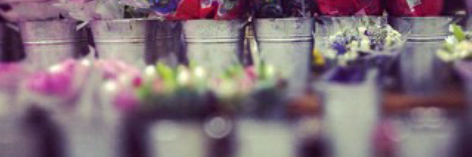jej200's profile banner image