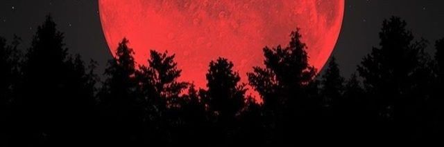Sadworld. banner