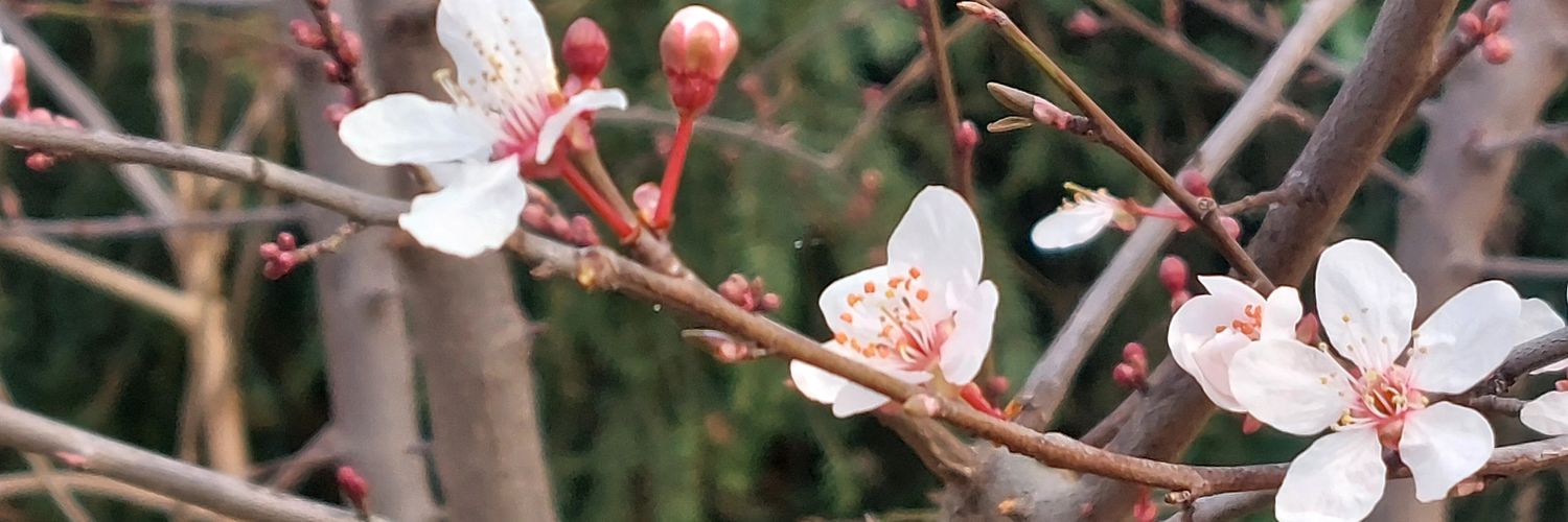 PRG le Centre Gauche 03 Allier banner