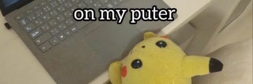 camarada feguso banner