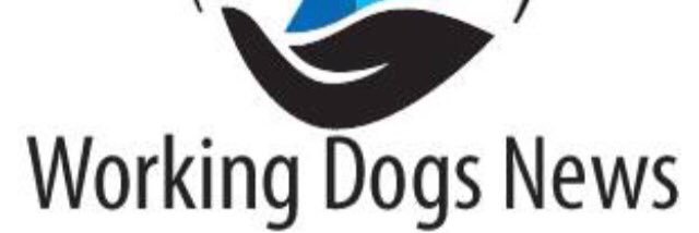 Working Dogs News banner