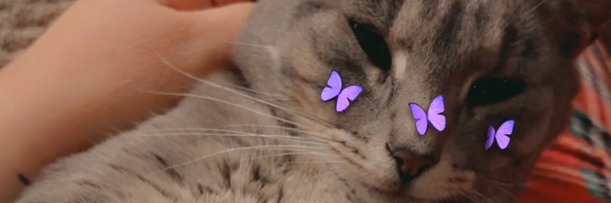kaleena93's profile banner image