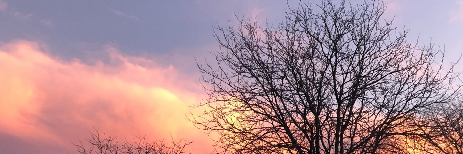 mariaevepappas's profile banner image