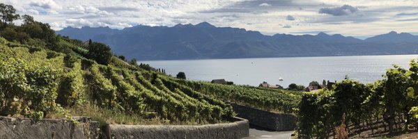 DomizioJeremy Profile Banner