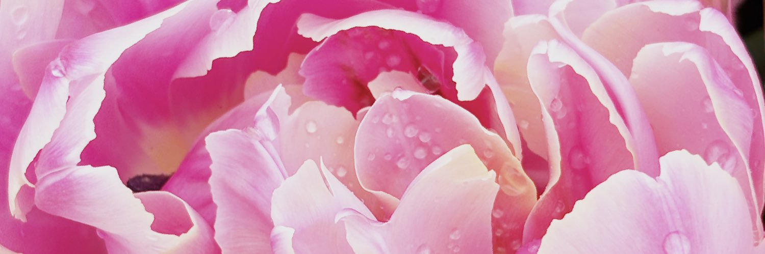 jujusumire's profile banner image