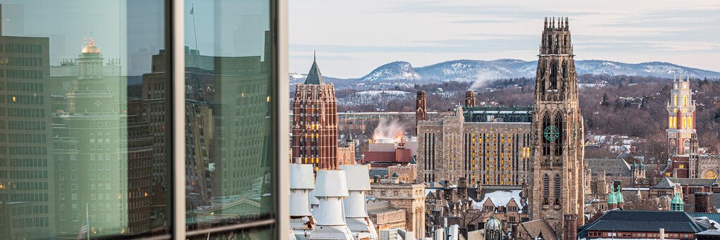 WillMcCormack_'s profile banner image