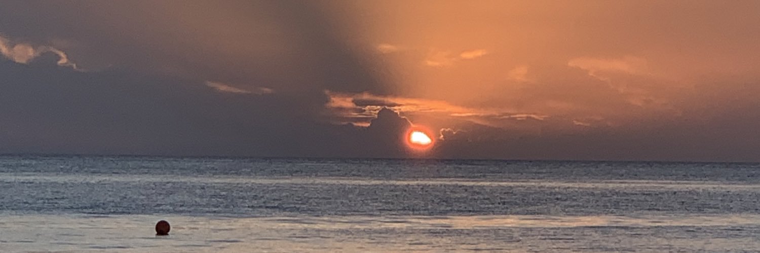 Oswallvera's profile banner image