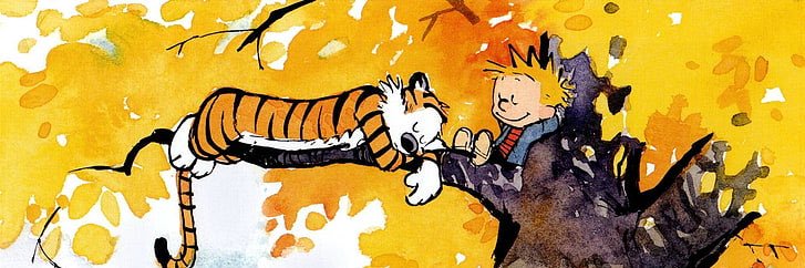 ohknai's profile banner image