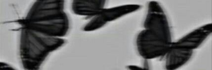 flopisanchez23's profile banner image
