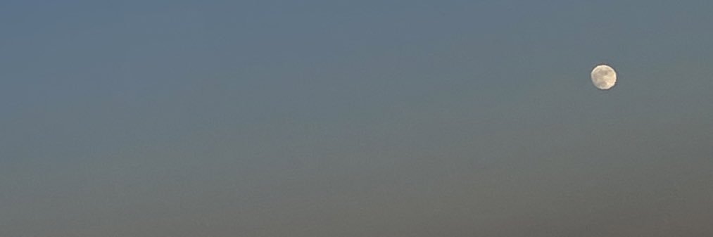 _mxrlene's profile banner image