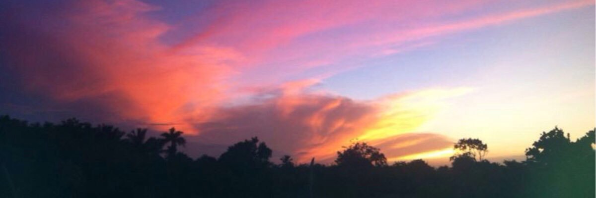 nopeeeetb's profile banner image