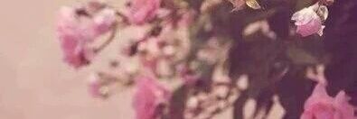 yahya_om's profile banner image