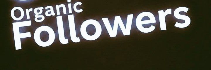 Ed Hogan banner