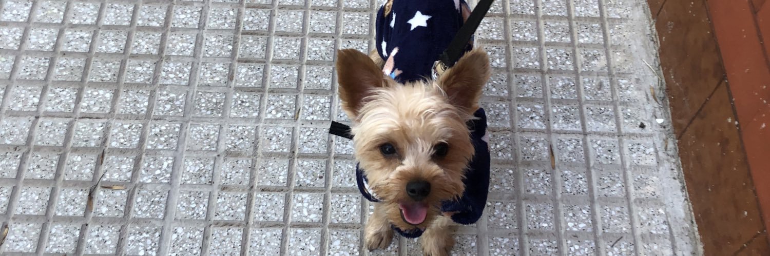 taboada112's profile banner image