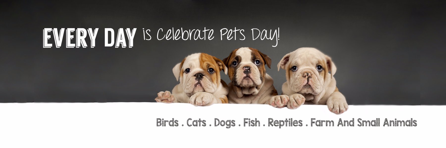 PanPacificPet's profile banner image