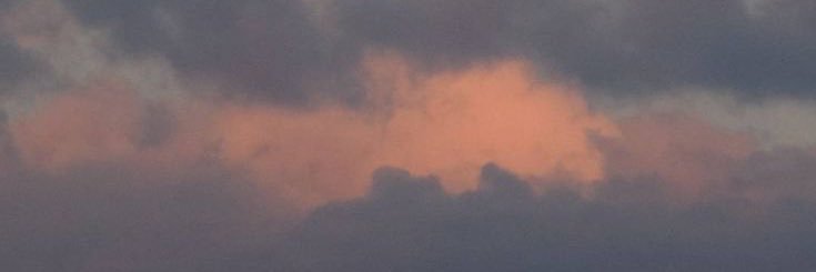 itzeljafany's profile banner image