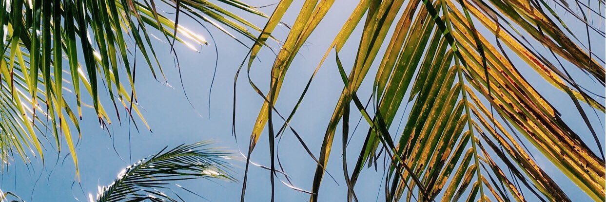 mlisteba's profile banner image
