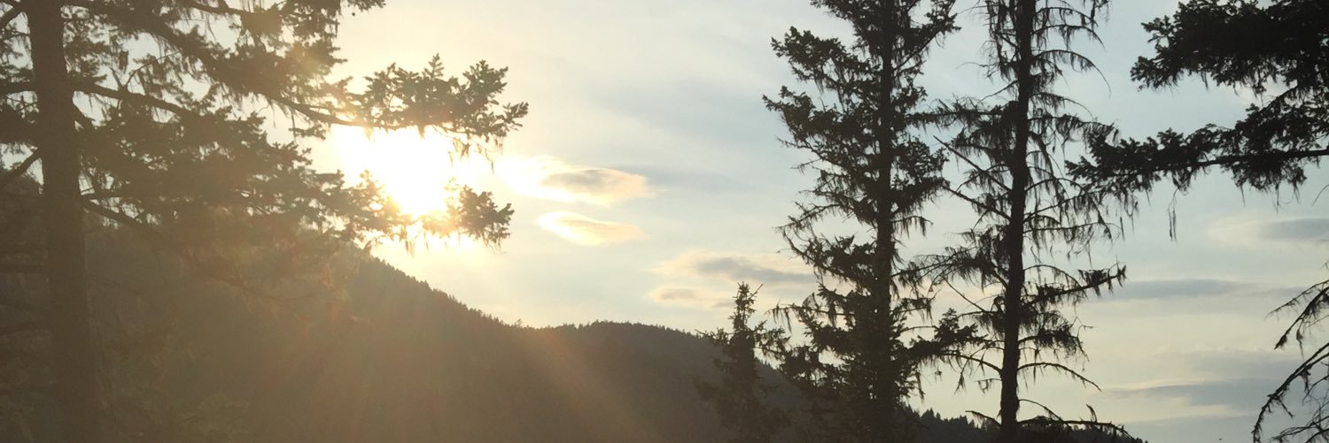AlishaaColleen's profile banner image