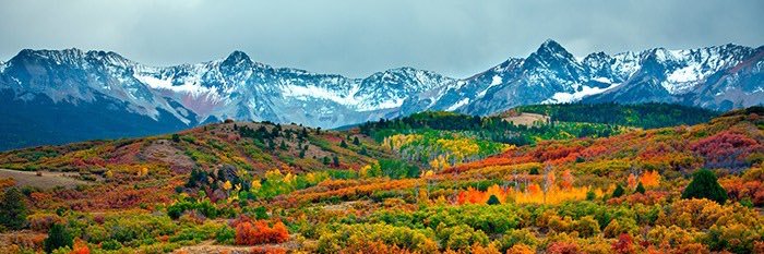 Emerson Williams banner