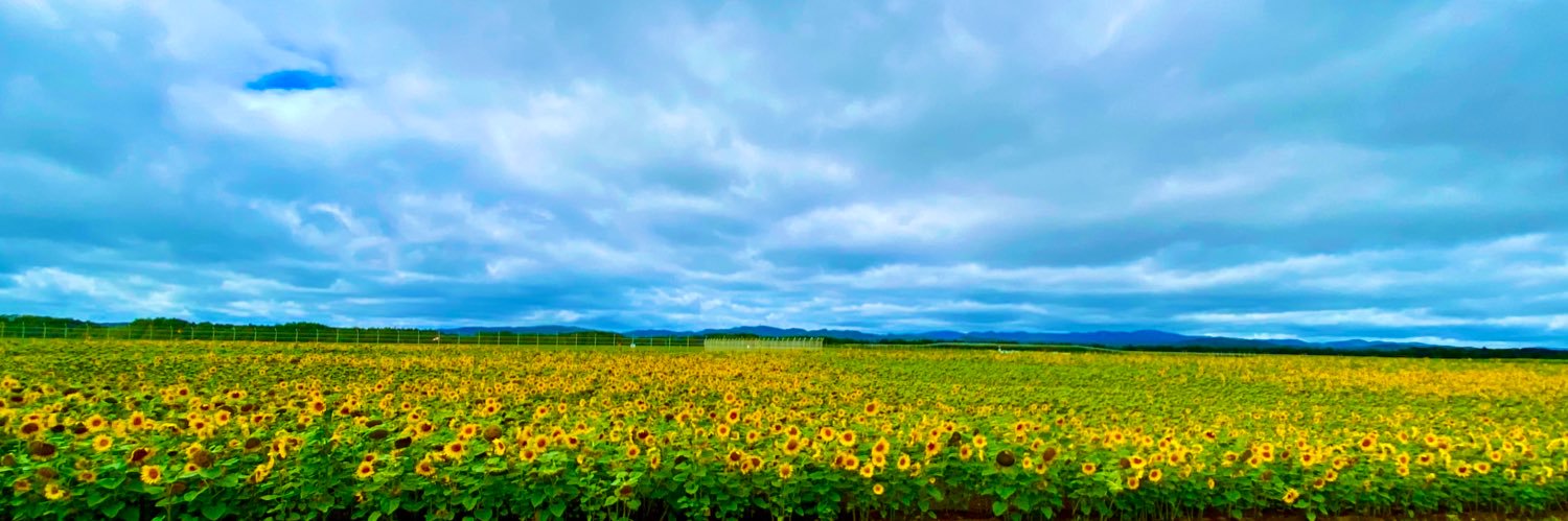 akane_pyonpyon's profile banner image