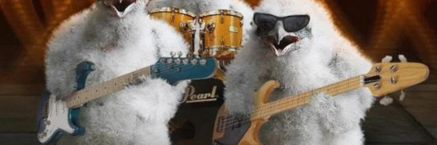 wjdelang's profile banner image