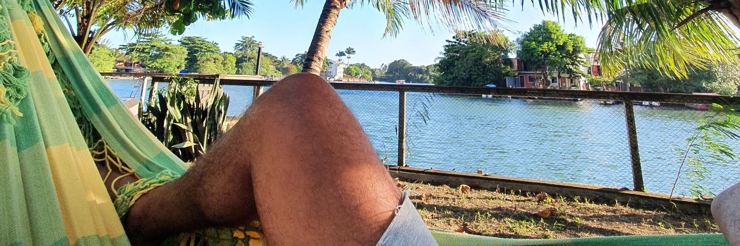Quem nasceu pra lagartixa, nunca chega a jacaré banner