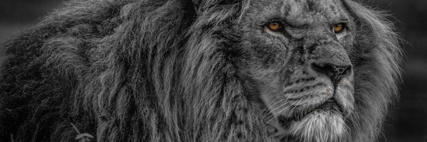 _Ochums's profile banner image
