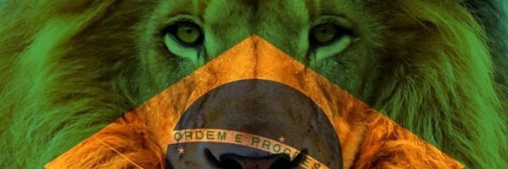 Deni 🇧🇷🇧🇷 banner