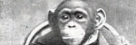 pablo132013's profile banner image