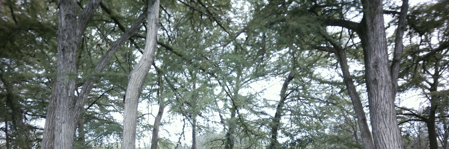 brinderp's profile banner image