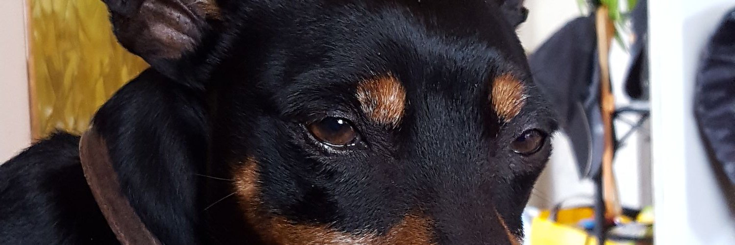 Rickydu38's profile banner image